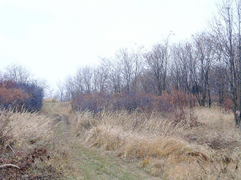 20111210 076.jpg